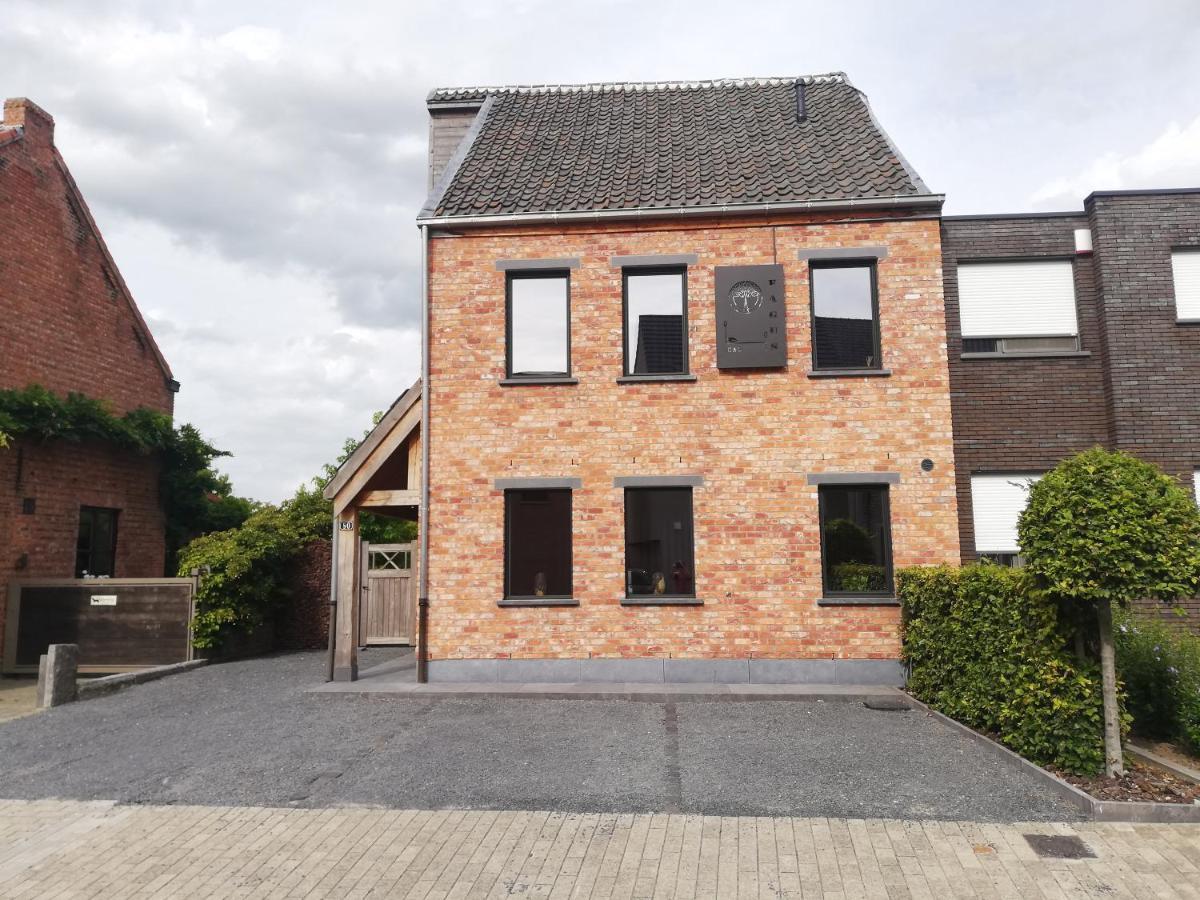 B&B Fagus Buggenhout Екстериор снимка